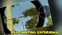 Real Forest Sniper Bird Hunting Screen Shot 3