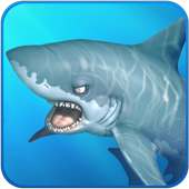 Blue Whale Shark Games