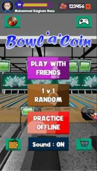 Bowl'a'Coin Screen Shot 0