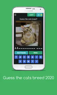 Cat Quiz - Guess The Cat Breed 2020 Screen Shot 0