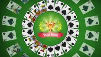 Freecell Solitaire Collection Screen Shot 7