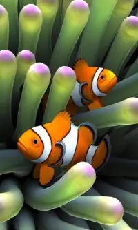 Sim Aquarium Live Wallpaper Screen Shot 0