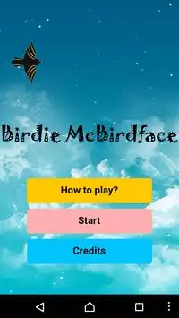 Birdie McBirdface Screen Shot 0