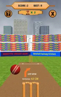 Bowled 3D - Cricket Game Screen Shot 16