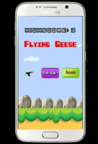 Flying Geese Screen Shot 1