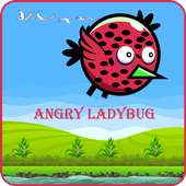 Angry LadyBird