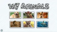 107 Animals - Free Screen Shot 0