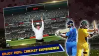 IND vs AUS Cricket Game 2017 Screen Shot 4