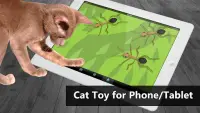 Cat Toys - AntHunt Cat Games Screen Shot 1
