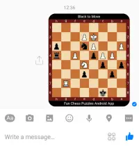 Fun Chess Puzzles Screen Shot 5