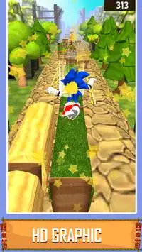 Temple Sonic Run 3D Screen Shot 1
