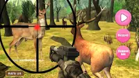 Deer Hunting Simulator - Hunter Games Screen Shot 2