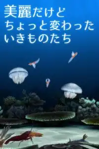 ３Ｄコレクション 海のいきもの 無脊椎動物 Screen Shot 1