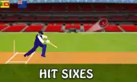Cricket Game T20 2017 Free Screen Shot 4