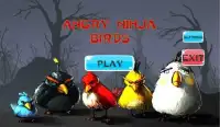 Neue Angry Ninja Vögel Screen Shot 0