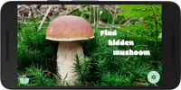Mushroom picker 2 - try to find real mushrooms Screen Shot 0