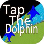Tap The Dolphin