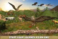 Owl Bird Simulator Birds Game Screen Shot 0