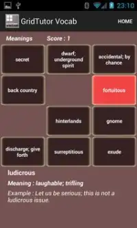 Play Vocab on gridTutor Screen Shot 6