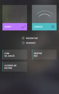 Romanian Grammar Tests Screen Shot 7