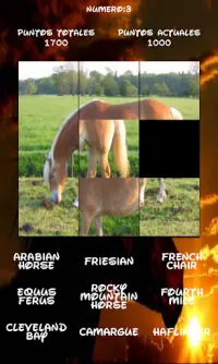 Horses Puzzle, find out which one is hidden. Screen Shot 1