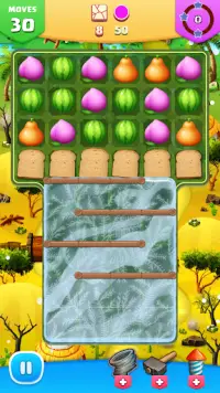 Fruity Match 3 Puzzle Screen Shot 5
