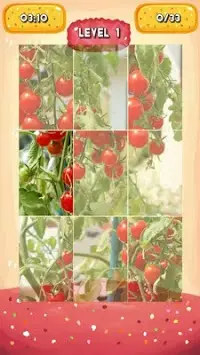 Tomatoes Jigsaw Puzzles Screen Shot 3