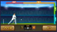 Play-On Cricket Screen Shot 4