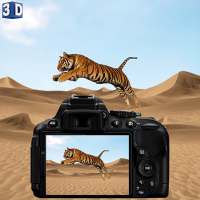 Wüste Tierfotografie