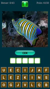 Tebak Nama Ikan Screen Shot 1