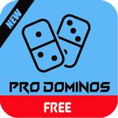 Dominos Professional