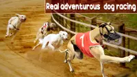 Pies Shephard Wyścigi Świat Wyzwanie 3d Screen Shot 0