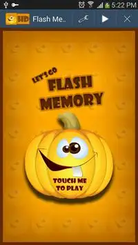 Flash Memory Screen Shot 0