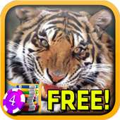 United Tiger Slots - Free