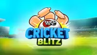 WCC Cricket Blitz Screen Shot 16