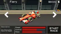 Formula Fun - Single & Multiplayer Racing Game Screen Shot 6