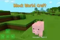 Block world craft Screen Shot 0