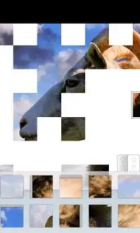 Animated Puzzles Screen Shot 2