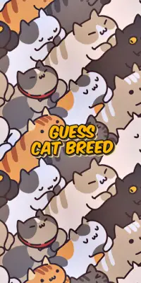 Guess the cat breed game Screen Shot 0