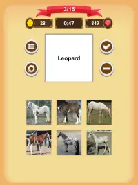 Horse Coat Colors Quiz Screen Shot 19