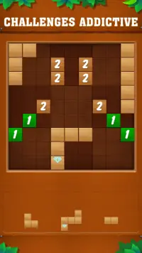 Block Wodu -  Puzzle Game Screen Shot 3