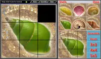 Magic Slide Puzzle Shells Screen Shot 5