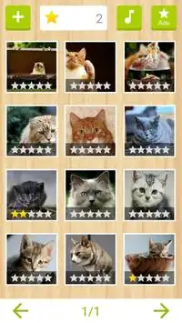 Jigsaw - Cat Kingdom Screen Shot 0