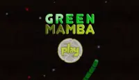 Green Mamba Screen Shot 0