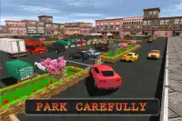 Mall Car Parking Sim 2017 Screen Shot 11