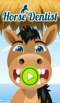Horse Dentist Screen Shot 0