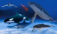 サメ攻撃ブルークジラ3Dアドベンチャーゲーム Screen Shot 3