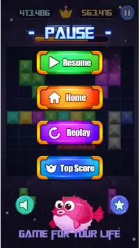 Block puzzle combo 2020 Screen Shot 3