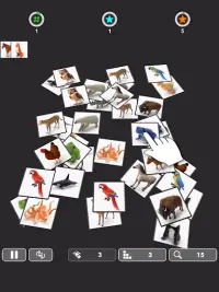 OLLECT - Pair Matching Game Screen Shot 16