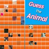 Guess the Animal games 2015